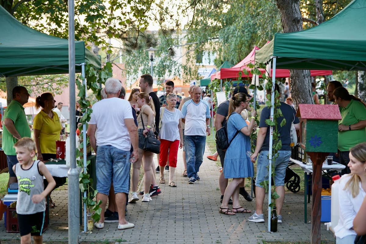 Večer Vištuckého Vína